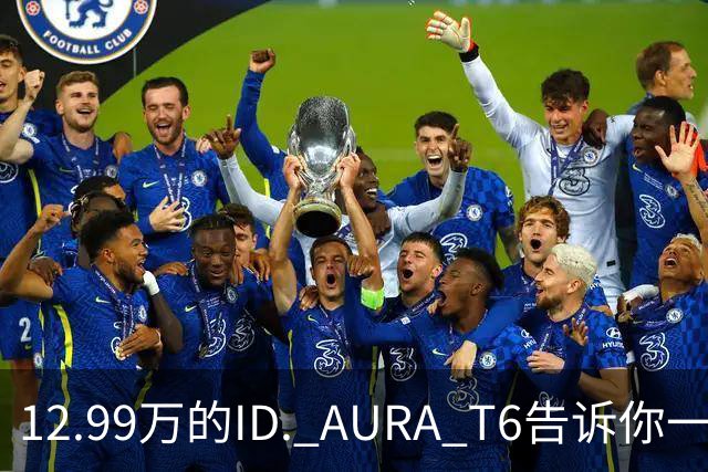 12.99万的ID. AURA T6告诉你一分钱能买两分货